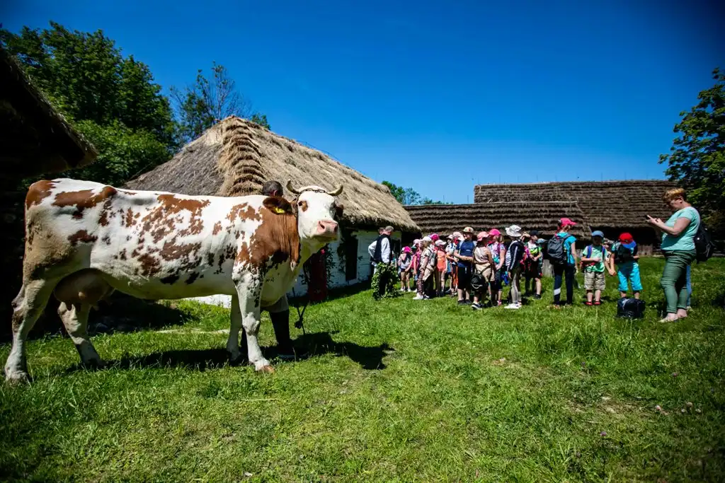 Dzień Dziecka w sądeckim skansenie. Impreza upłynęła pod znakiem roślin
