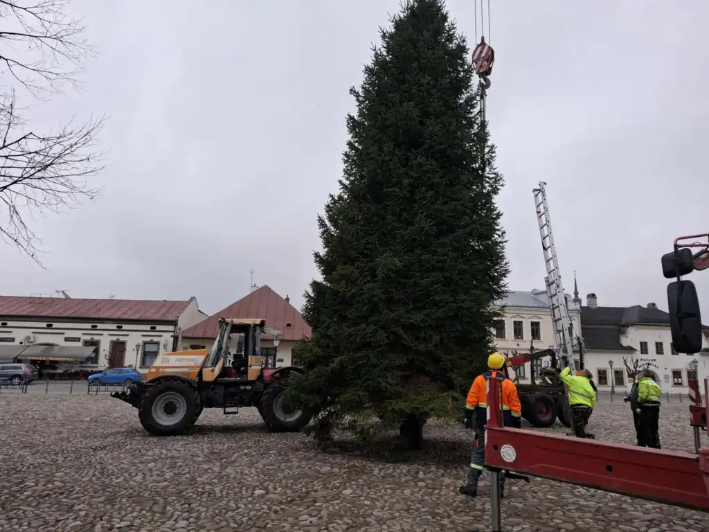 Gmina Stary Sącz rozpoczyna przygotowania do świąt. Choinka już na rynku