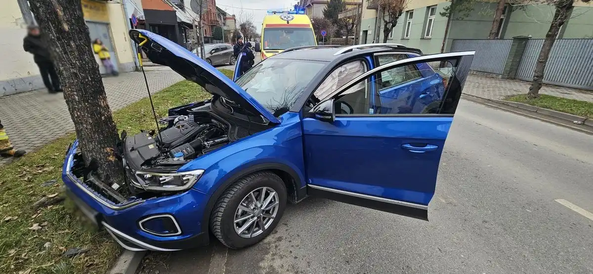 Służby interweniowały na Kunegundy. Samochód uderzył w drzewo