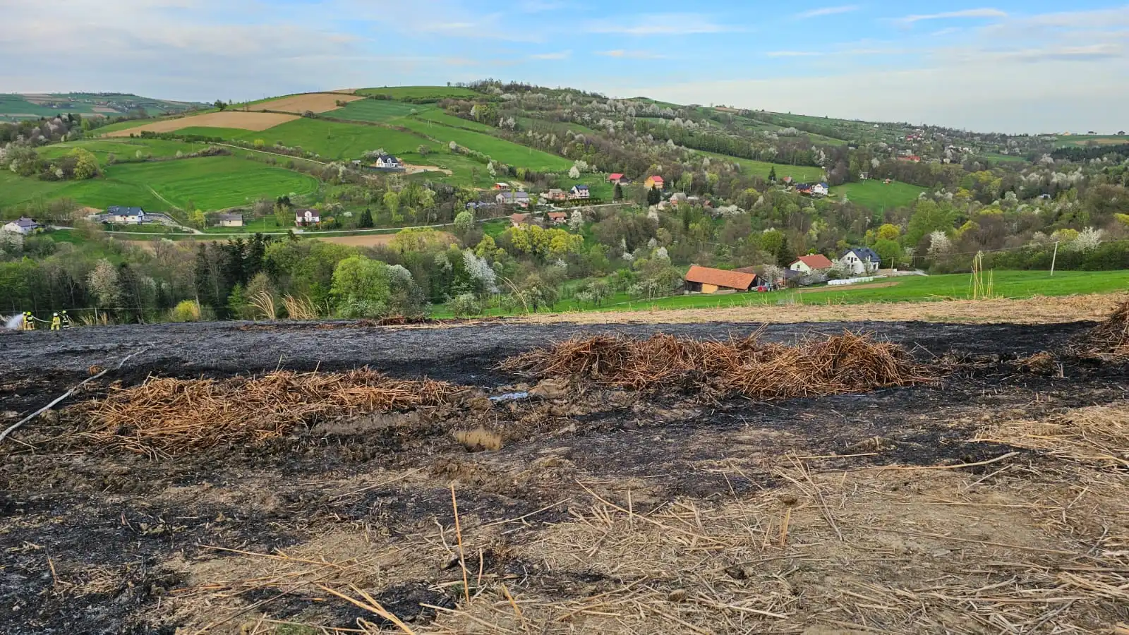 Pożar w Słowikowej. Paliła się trawa energetyczna