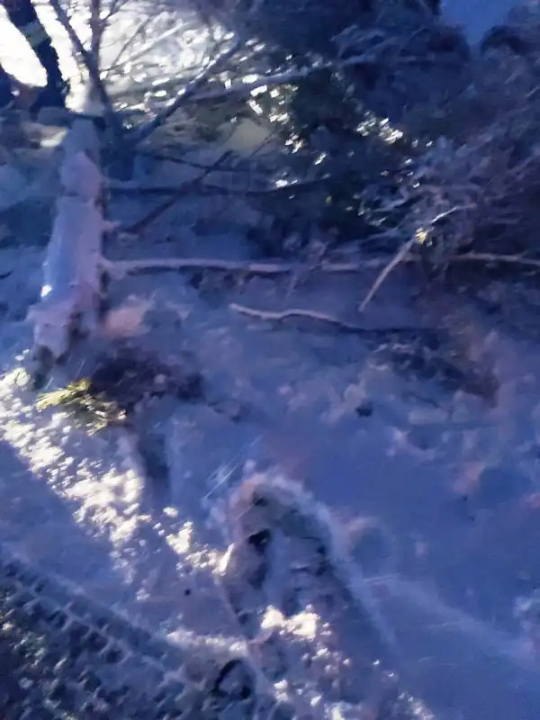 Sądecczyzna: Weekendowy atak zimy. Interweniowali strażacy