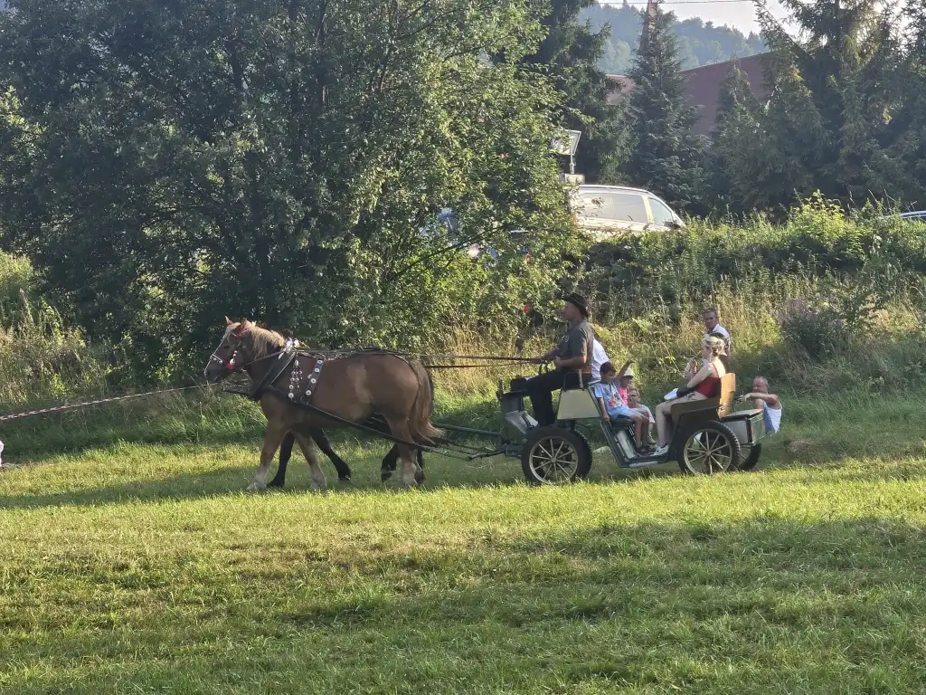 Od integracji po taneczną zabawę. Niezapomniany piknik w Młyńczyskach