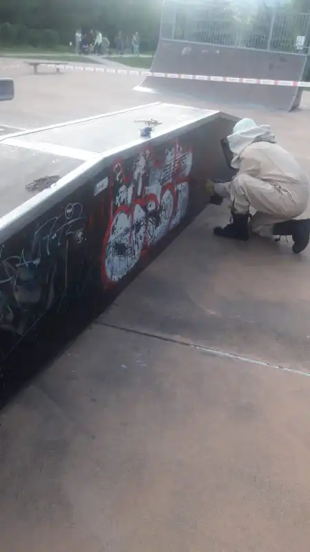 Krynica-Zdrój: osy na placu zabaw. Interweniowali strażacy