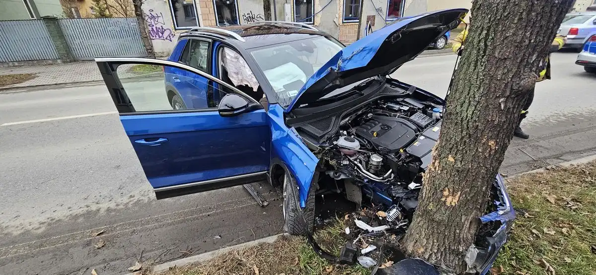 Służby interweniowały na Kunegundy. Samochód uderzył w drzewo