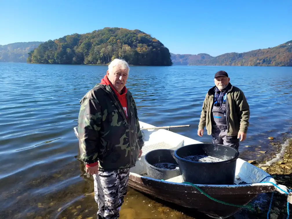 Zawisza" w akcji. Jesienne zarybianie Jeziora Rożnowskiego