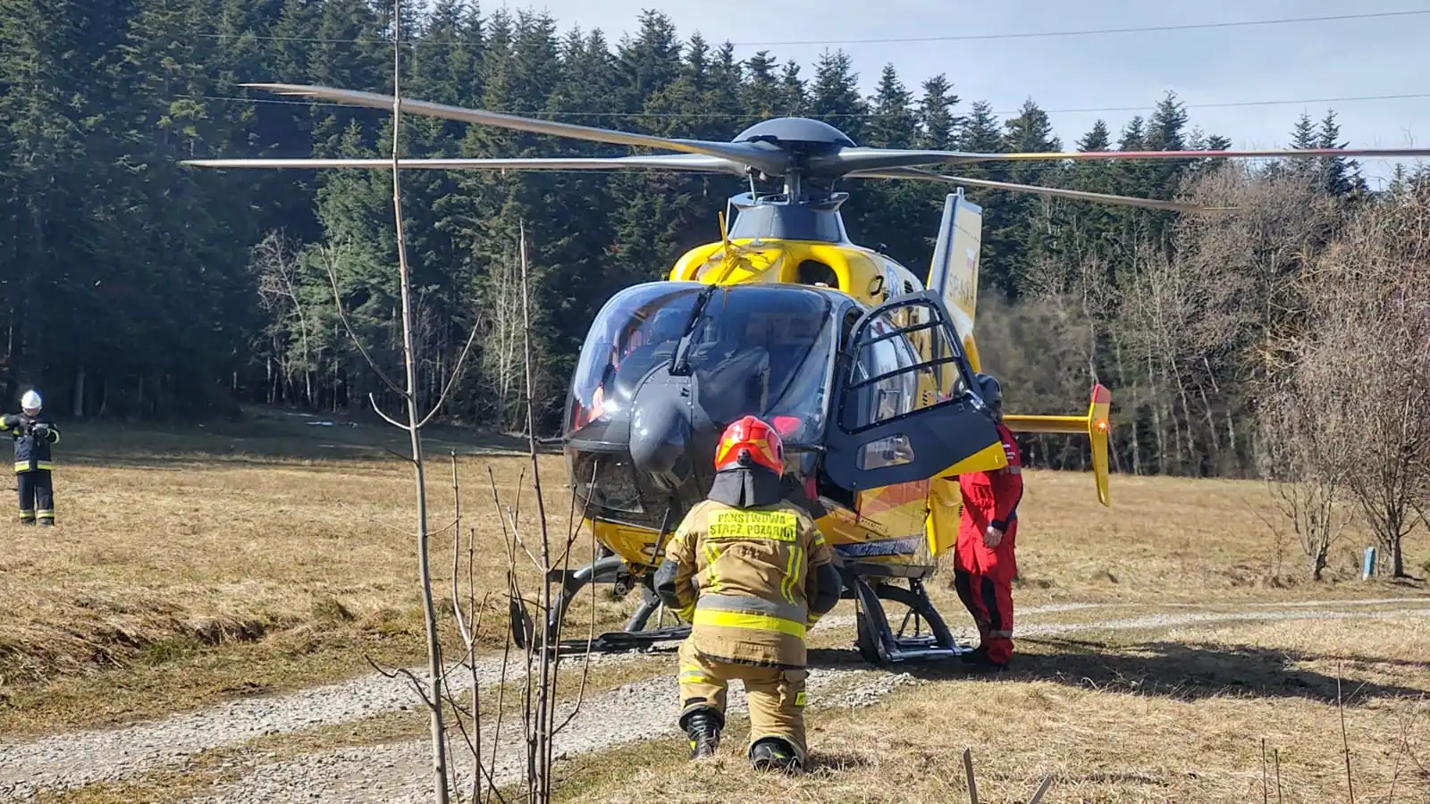 Stara Wieś: śmiertelny wypadek przy wycince drzew