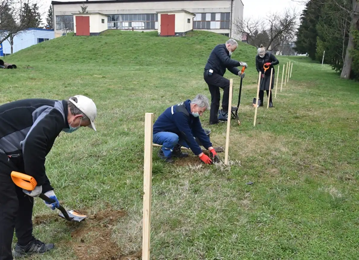 Dzień Ziemi: Na terenie Zakładu Uzdatniania Wody w Świniarsku posadzono 350 sadzonek drzew