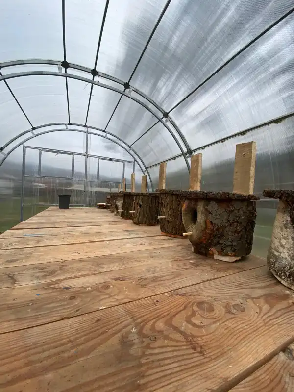 Pracownicy MZGKiM w Piwnicznej-Zdroju zamontowali budki lęgowe dla ptaków