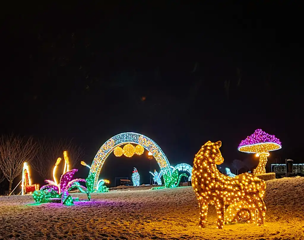 Muszyna pełna świątecznego blasku