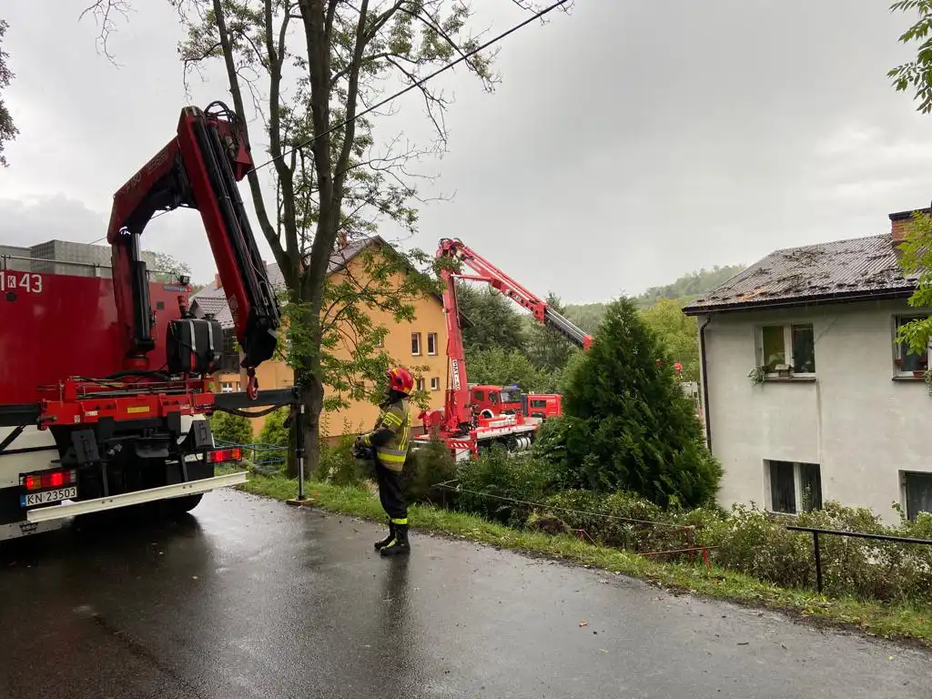 W Jazowsku drzewo spadło na dach budynku mieszkalnego