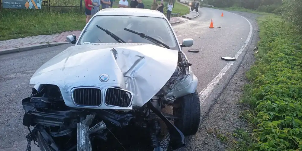 W Zagorzynie samochód uderzył w ogrodzenie posesji