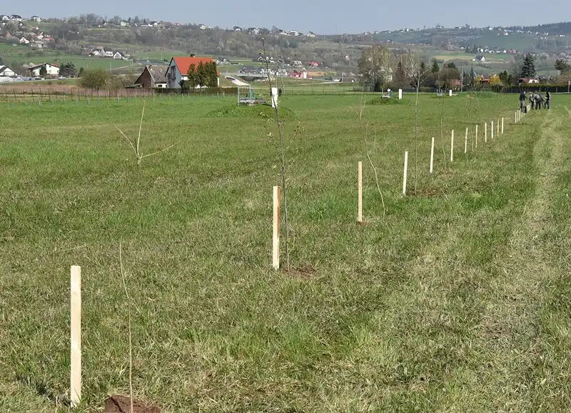 Park się rozrasta. 230 nowych drzewek przy obiektach Sądeckich Wodociągów