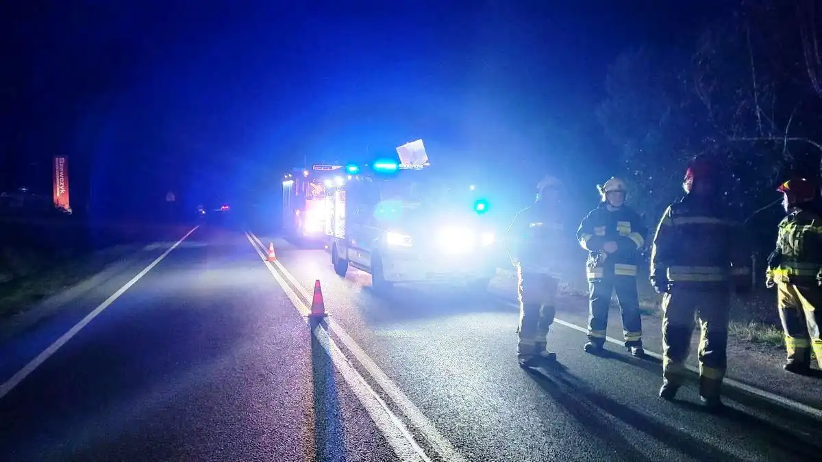 Nowa Wieś: Osobówka zderzyła się z jeleniem