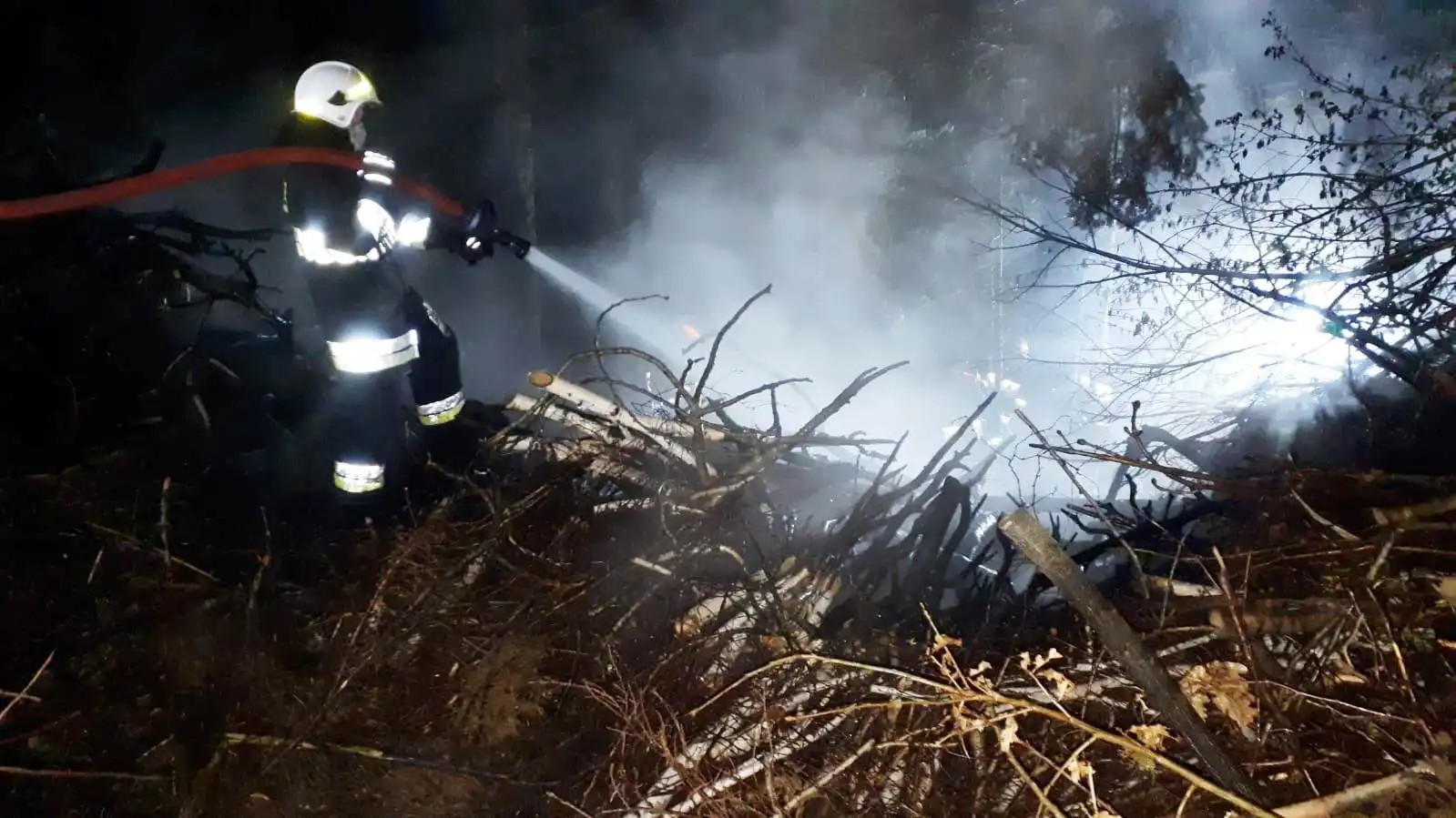 Moszczenica Niżna: Strażacy gasili pożar sterty gałęzi w lesie. Przyczyną pożaru było podpalenie