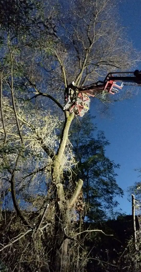 Bobry kontra strażacy. Nietypowa akcja ratownicza w Żegiestowie