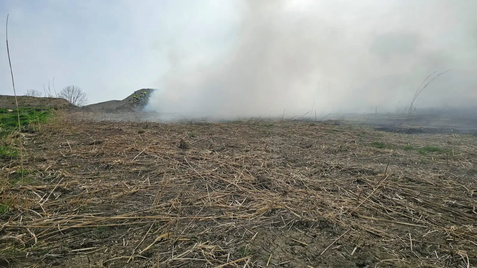 Pożar w Słowikowej. Paliła się trawa energetyczna