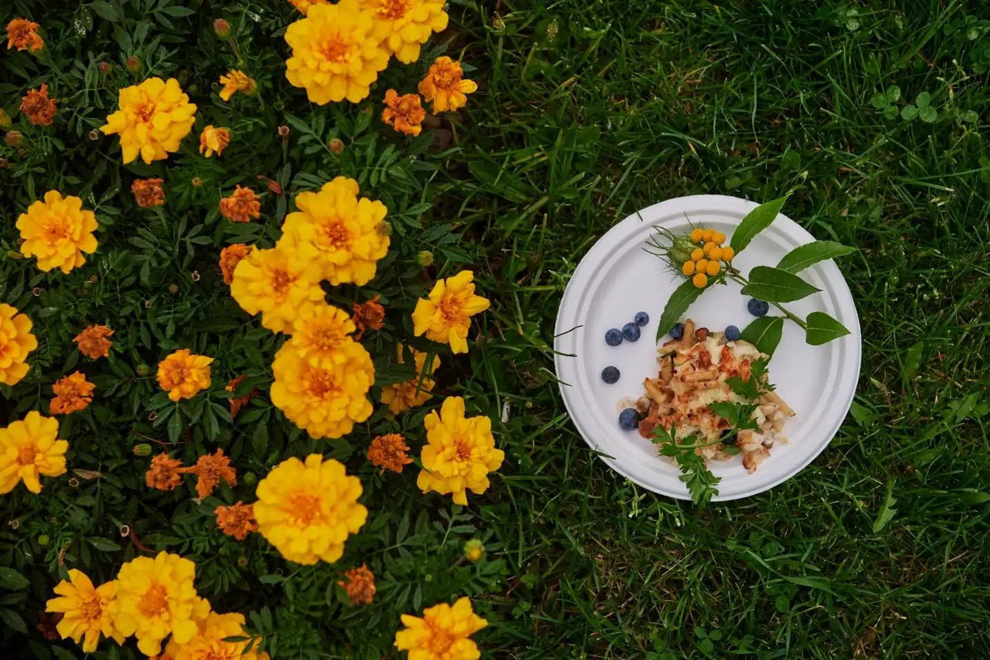 Regionalne przysmaki wyróżnione podczas Małopolskiego Festiwalu Smaku w Krynicy-Zdroju