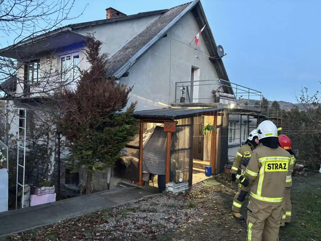 Interwencja strażaków w Kamionce Wielkiej