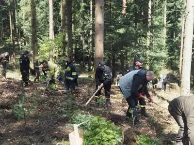 Posadzili 750 drzew na 750 lat Przysietnicy