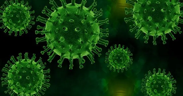 Najnowsze dane dotyczące koronawirusa (SARS-CoV-2) - 2 marca