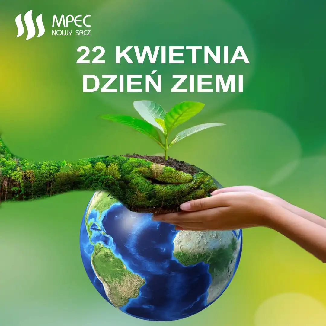 Sądecki MPEC kontynuuje nasadzenia drzew