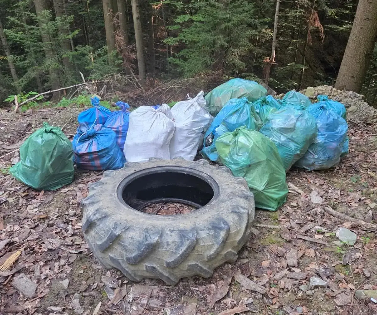 Bulwersujący widok w lasach pod Limanową. Ktoś zostawił kilkanaście worków śmieci