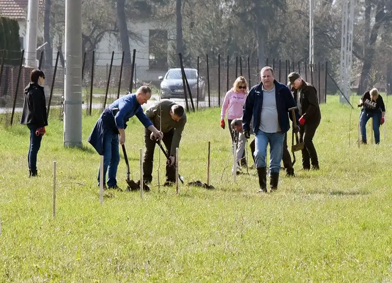 Park się rozrasta. 230 nowych drzewek przy obiektach Sądeckich Wodociągów