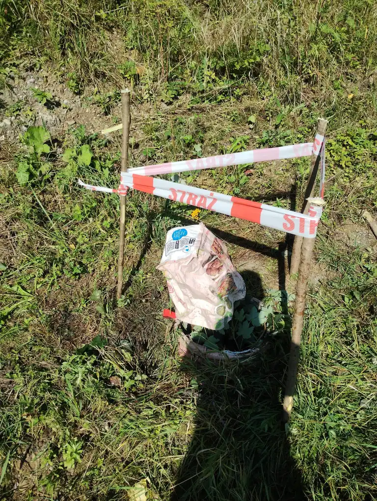 Niezwykła akcja ratunkowa w Krynicy