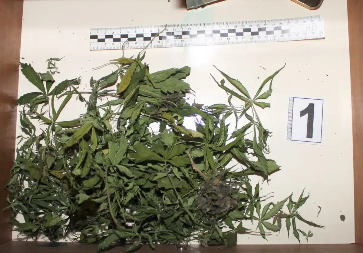 Wezwał policje bo zdawało mu się że zabił swoją matkę. I to był początek jego kłopotów