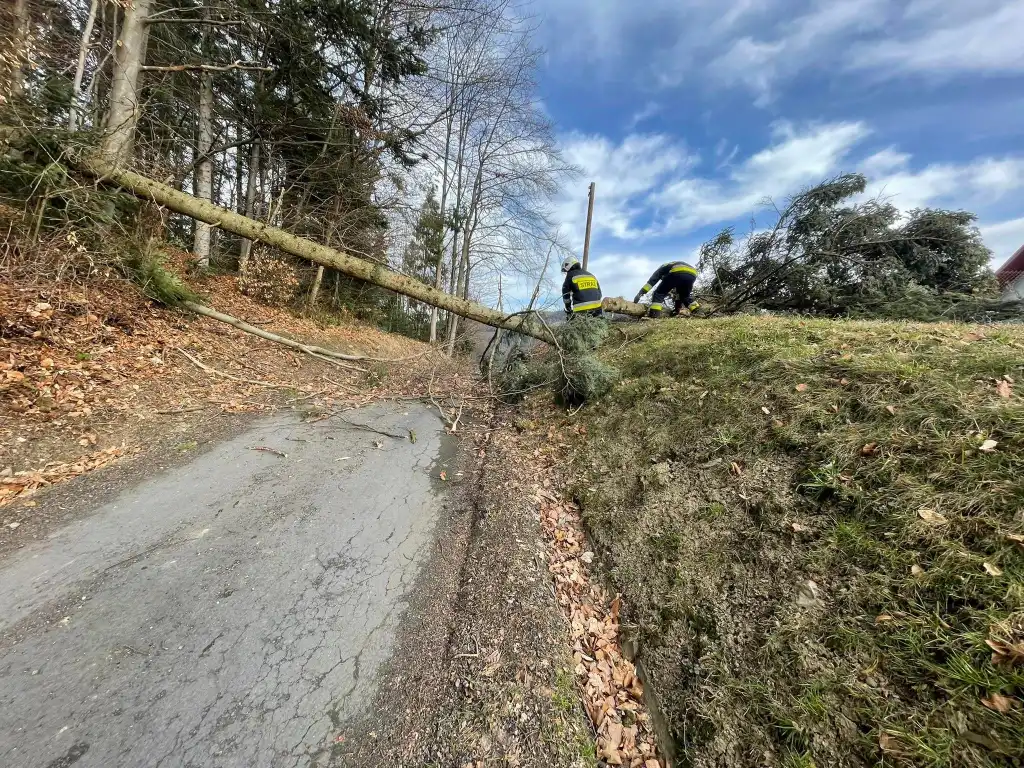 Silnie wiejący wiatr na Sądecczyźnie przysporzył pracy strażakom. W dwa dni interweniowali ponad 40 razy