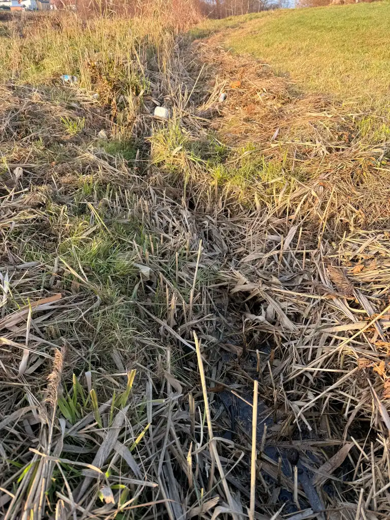 Czy Poręba Mała doczeka się regulacji potoków? Mieszkańcy apelują do Wód Polskich