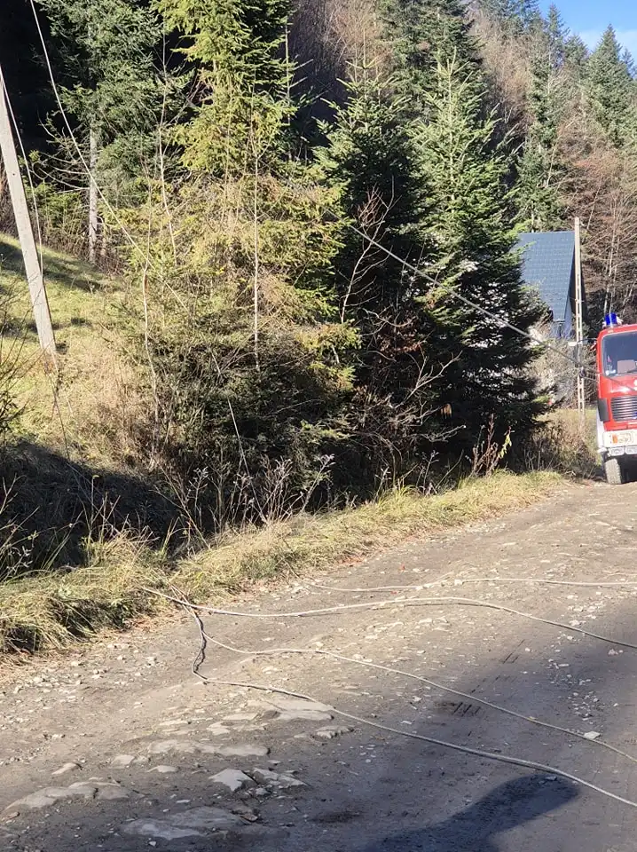 Bobry kontra linie energetyczne. Nietypowa interwencja OSP Obidza