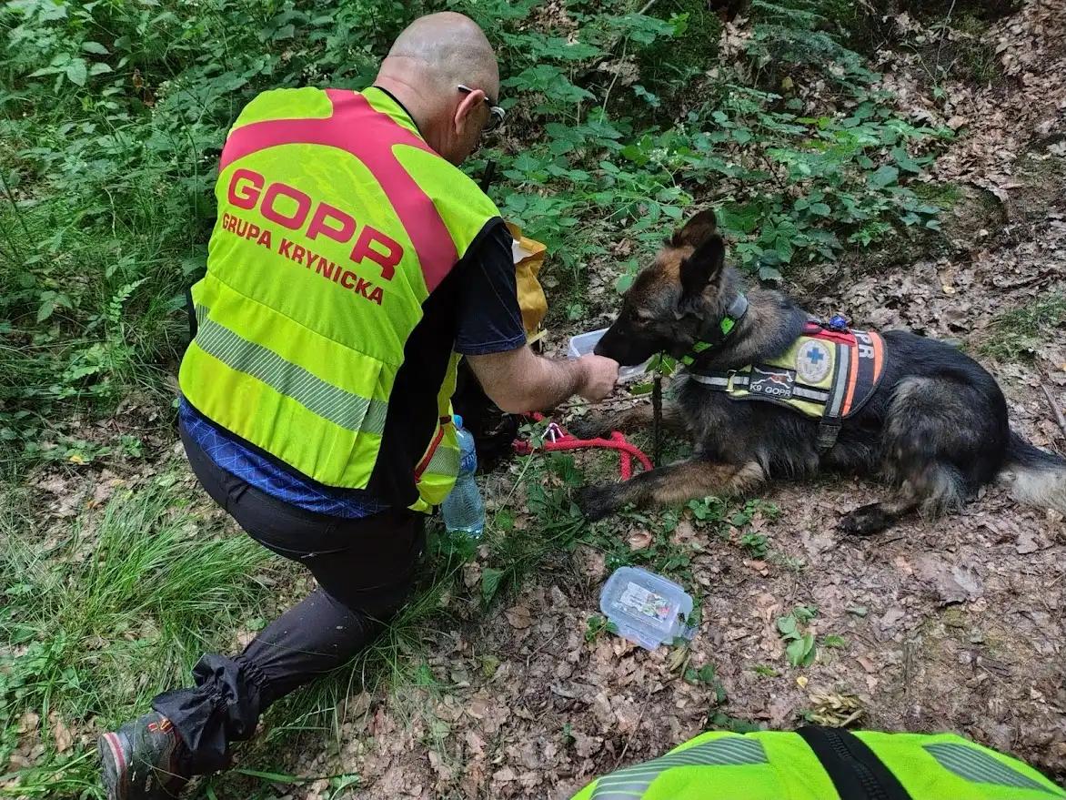 Zaginiony 2025: 100 hektarów, 50 ratowników, 1 misja – uratować życie