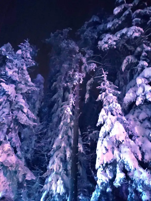 Sądecczyzna: Weekendowy atak zimy. Interweniowali strażacy