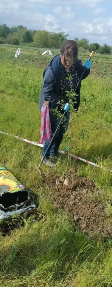 Zasadzili drzewa, posiali przyszłość. Zielona akcja w Starym Sączu