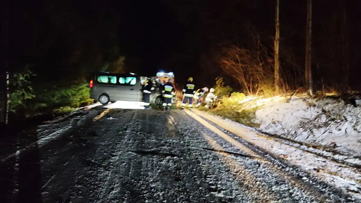 Wietrzna niedziela na Sądecczyźnie  Strażacy usuwali skutki silnego wiatru