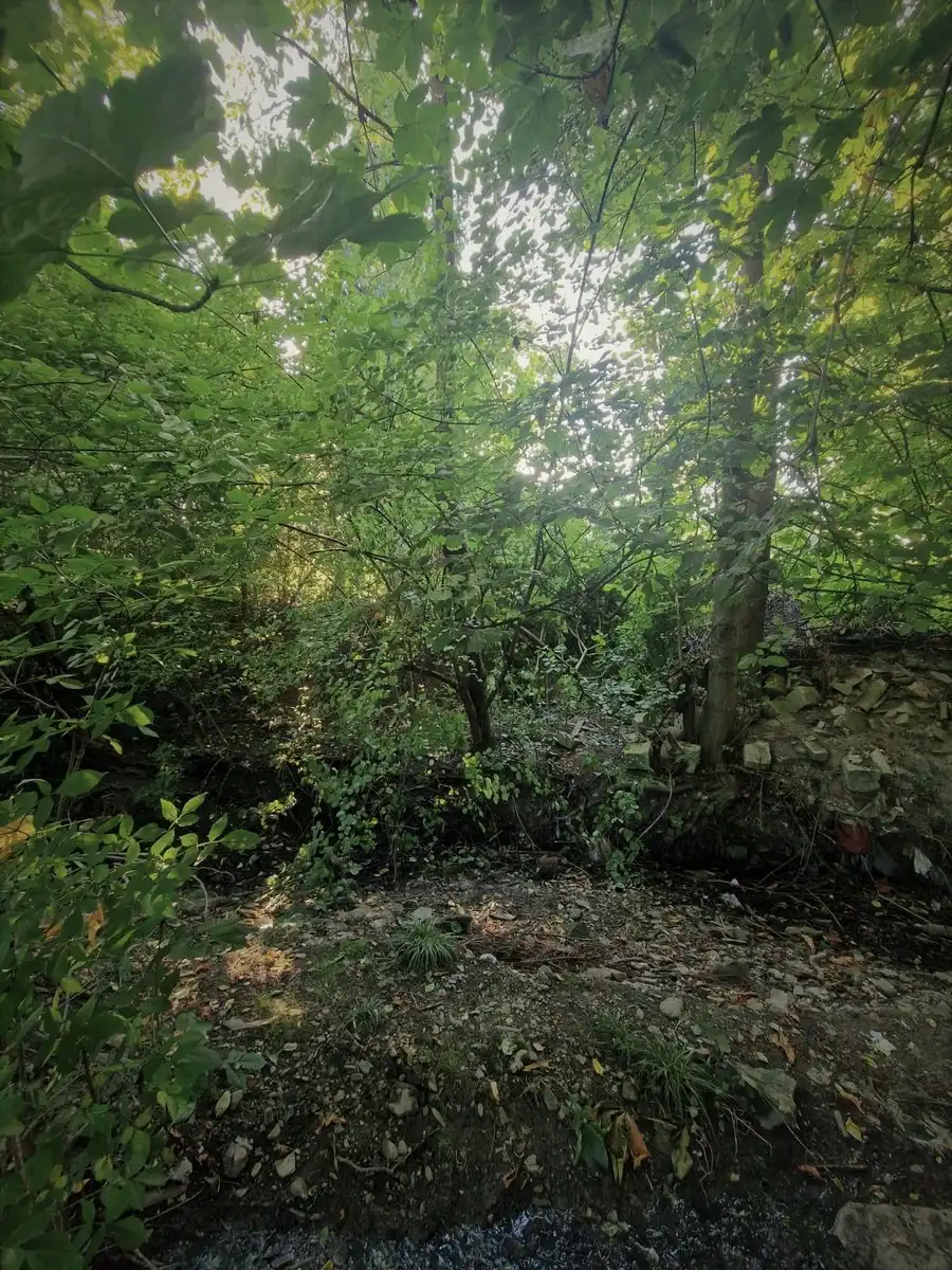 Sekundy decydowały o życiu. Dramatyczna interwencja w Męcinie