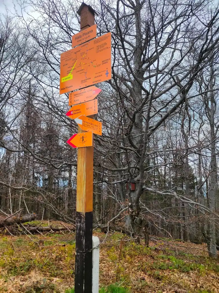 Sądeccy Policjanci już po raz piąty wyruszyli na charytatywny rajd