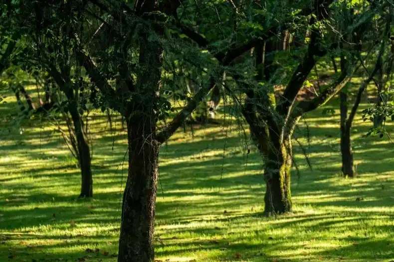 Kulturalna Małopolska na początek tygodnia 19 - 22 maja