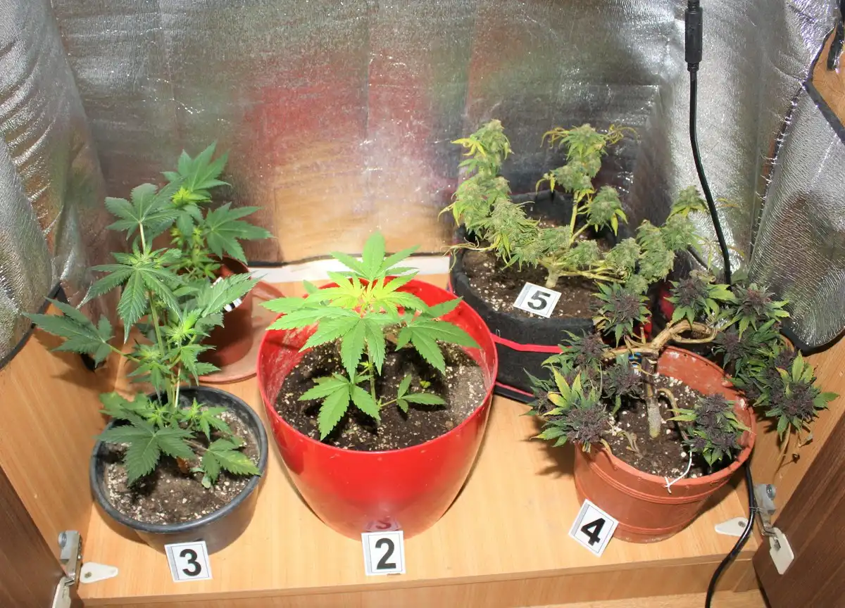 Wezwał policje bo zdawało mu się że zabił swoją matkę. I to był początek jego kłopotów