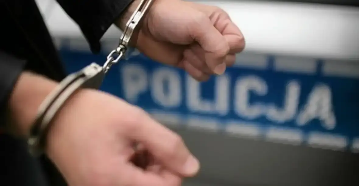 Nielegalna jazda zakończona zatrzymaniem i decyzją o deportacji