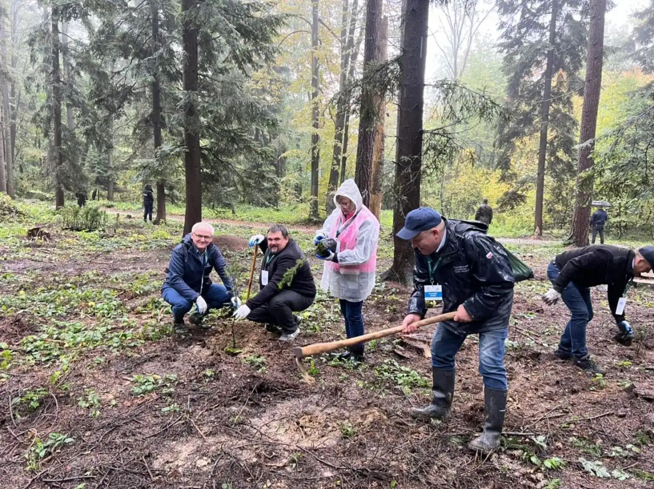 Za nami IV edycja akcji #sadziMY