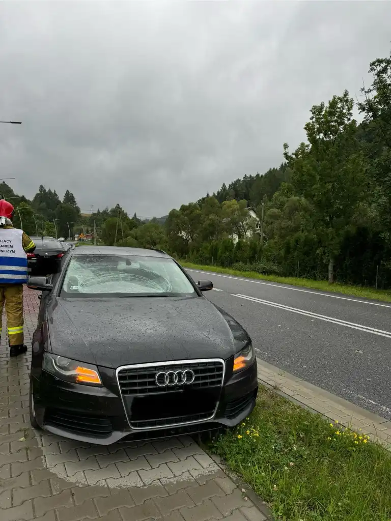 Silna wichura na Sądecczyźnie. Interweniowali strażacy