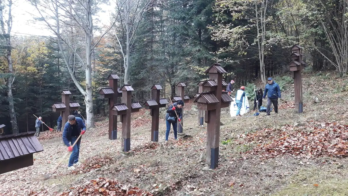 Gorliccy funkcjonariusze posprzątali cmentarz z okresu I wojny światowej