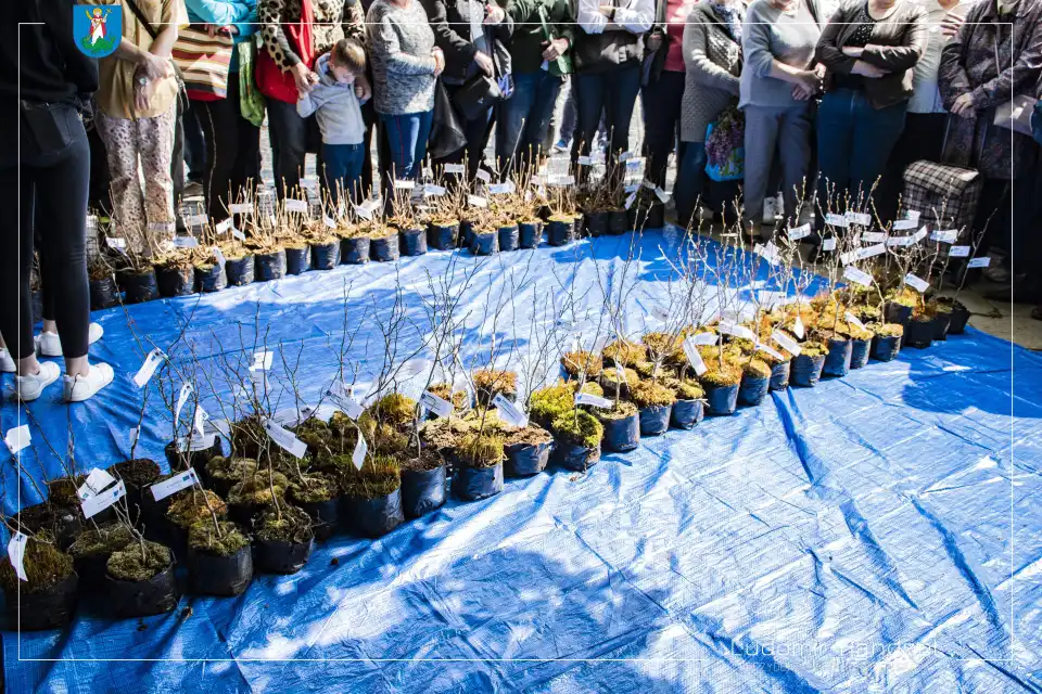 Nowy Sącz: Tłumy na I Małopolskim Dniu Dla Klimatu