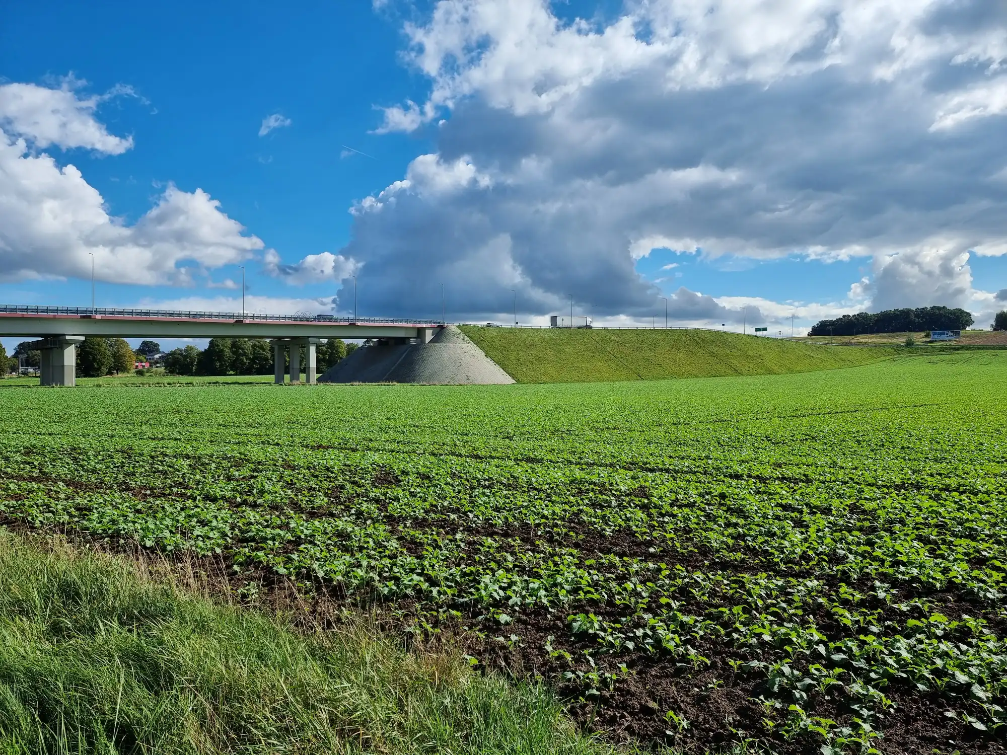 Rozpoczyna się budowa II części łącznika brzeskiego