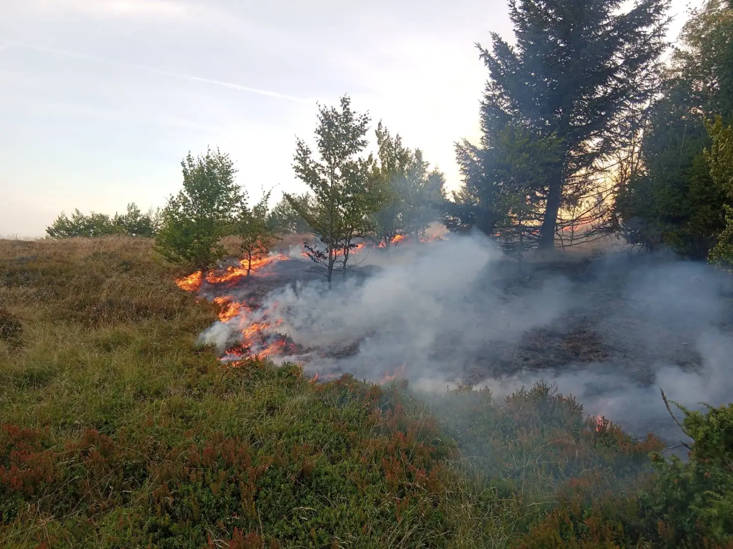 Turyści zostawili niedogaszone ognisko. O włos od większego pożaru na Hali Turbacz