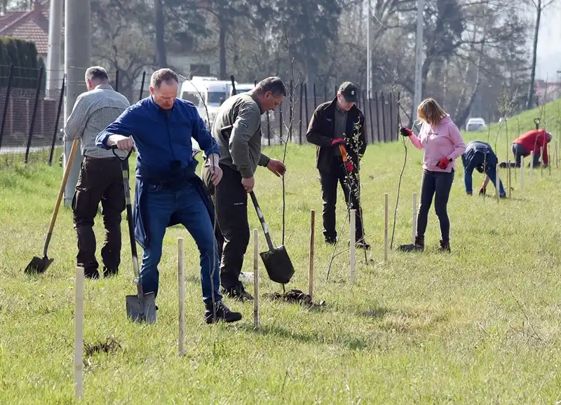 Park się rozrasta. 230 nowych drzewek przy obiektach Sądeckich Wodociągów