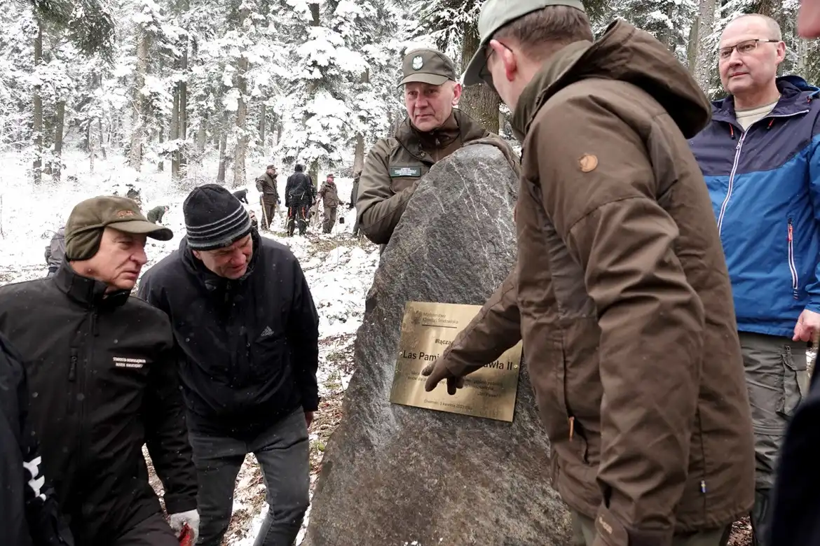 Jarząb brekinia wzbogacił las w Rdziostowie